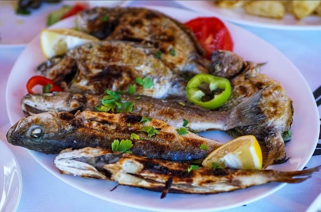 Hotel Restorant Olti Shetaj Zewnętrze zdjęcie